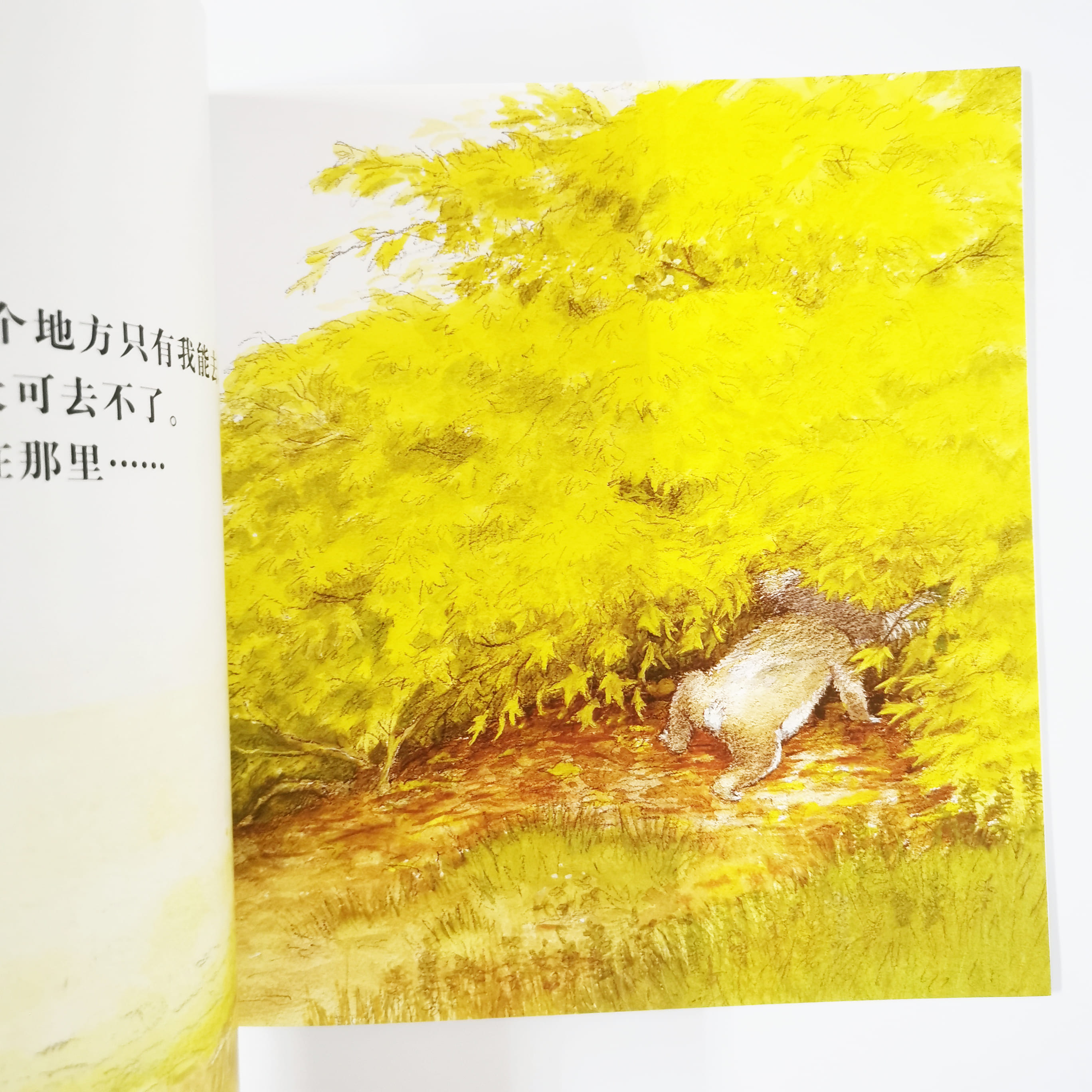 大大行我也行 If big can...I can