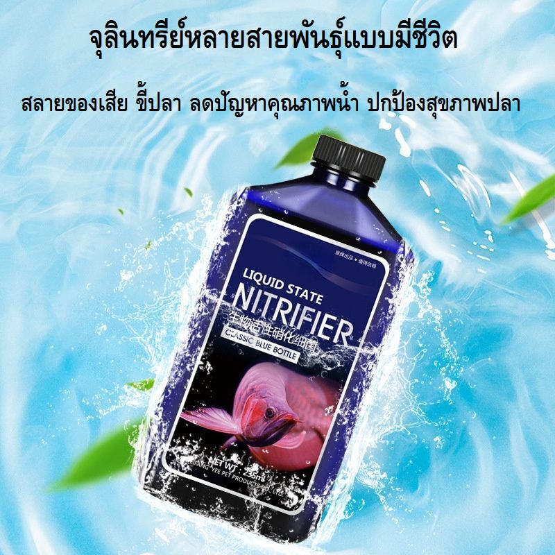 YEE LIQUID STATE NITRIFIER 650ml.(จุลินทรีย์สดแบบมีชีวิต สลายของเสีย ขี้ปลา ลดปัญหาคุณภาพน้ำ ปกป้องสุขภาพปลา เห็นผลไว)