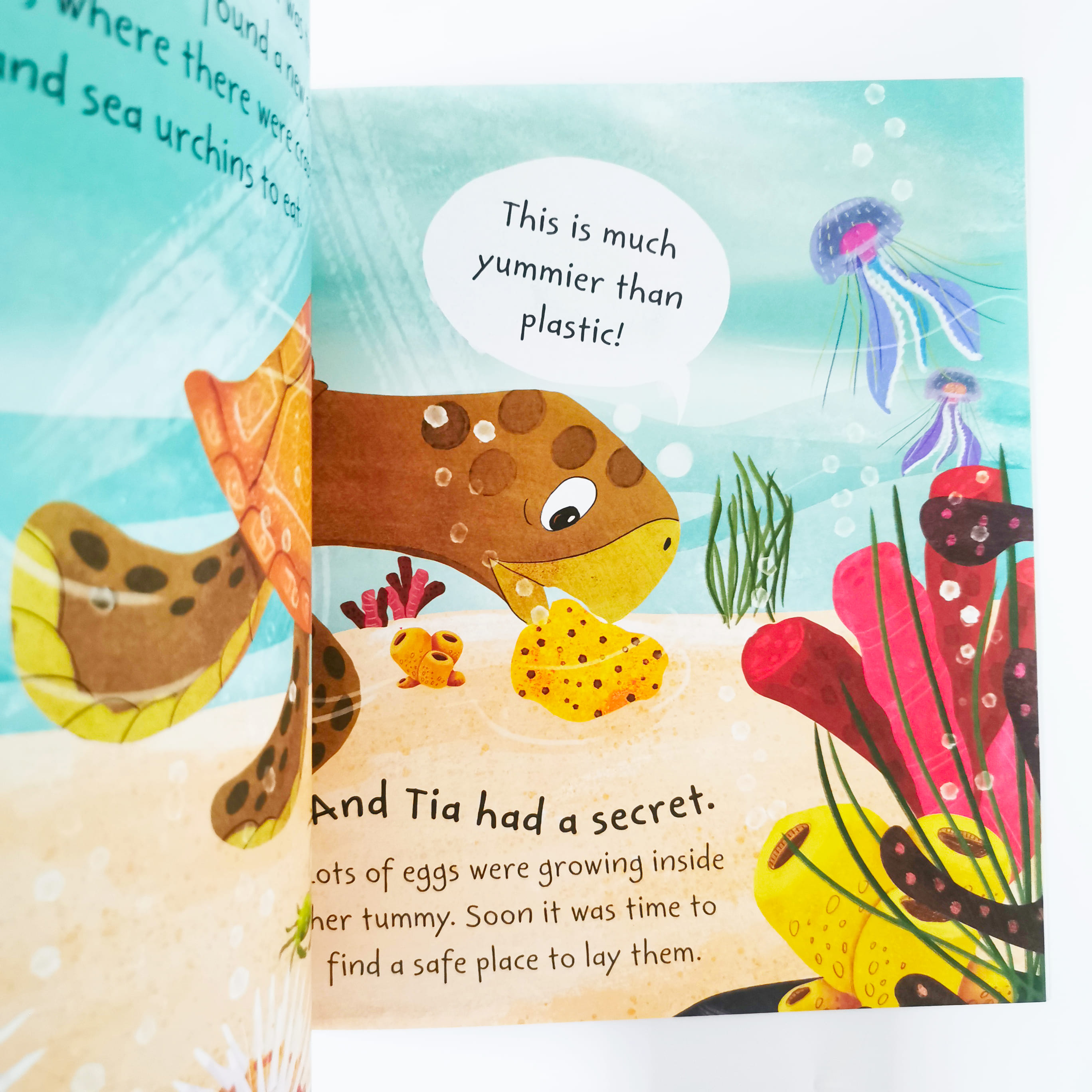 Tia the Turtle (Stories from the Sea)