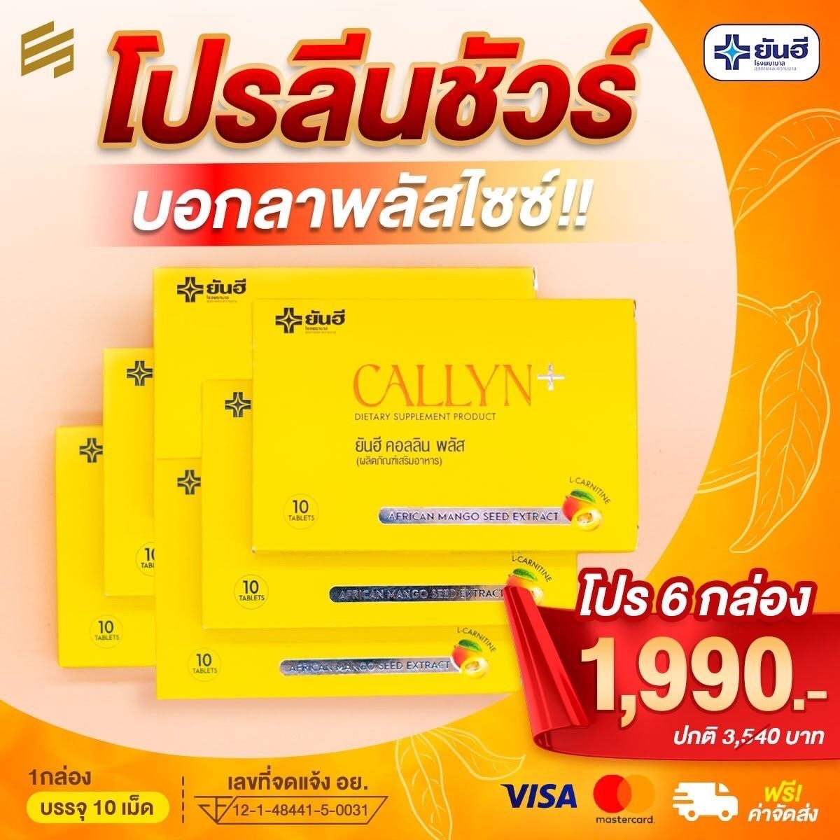 ยันฮีคอลลินพลัส ผลิตภัณฑ์เสริมอาหารควบคุมน้ำหนัก เร่งเผาผลาญ 6กล่อง