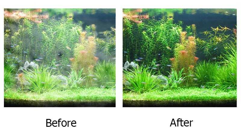 หินภูเขาไฟ และหินลาวา 1 kg.(วัสดุกรองจากธรรมชาติ ดูดซับสารพิษ แอมโมเนีย ไนไตรต์ ไนเตรต มีรูพรุนสูง)