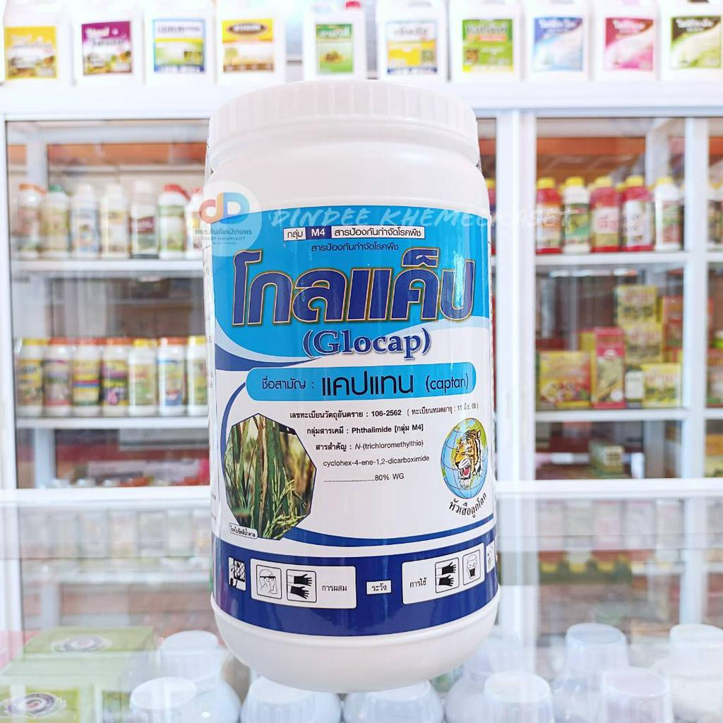 (ยกลัง12กก.)โกลแค็ป ขนาด 1 กิโลกรัม สารป้องกันกำจัดโรคใบจุด ใบขีด แอนแทรคโนส ในพืชต่างๆ
