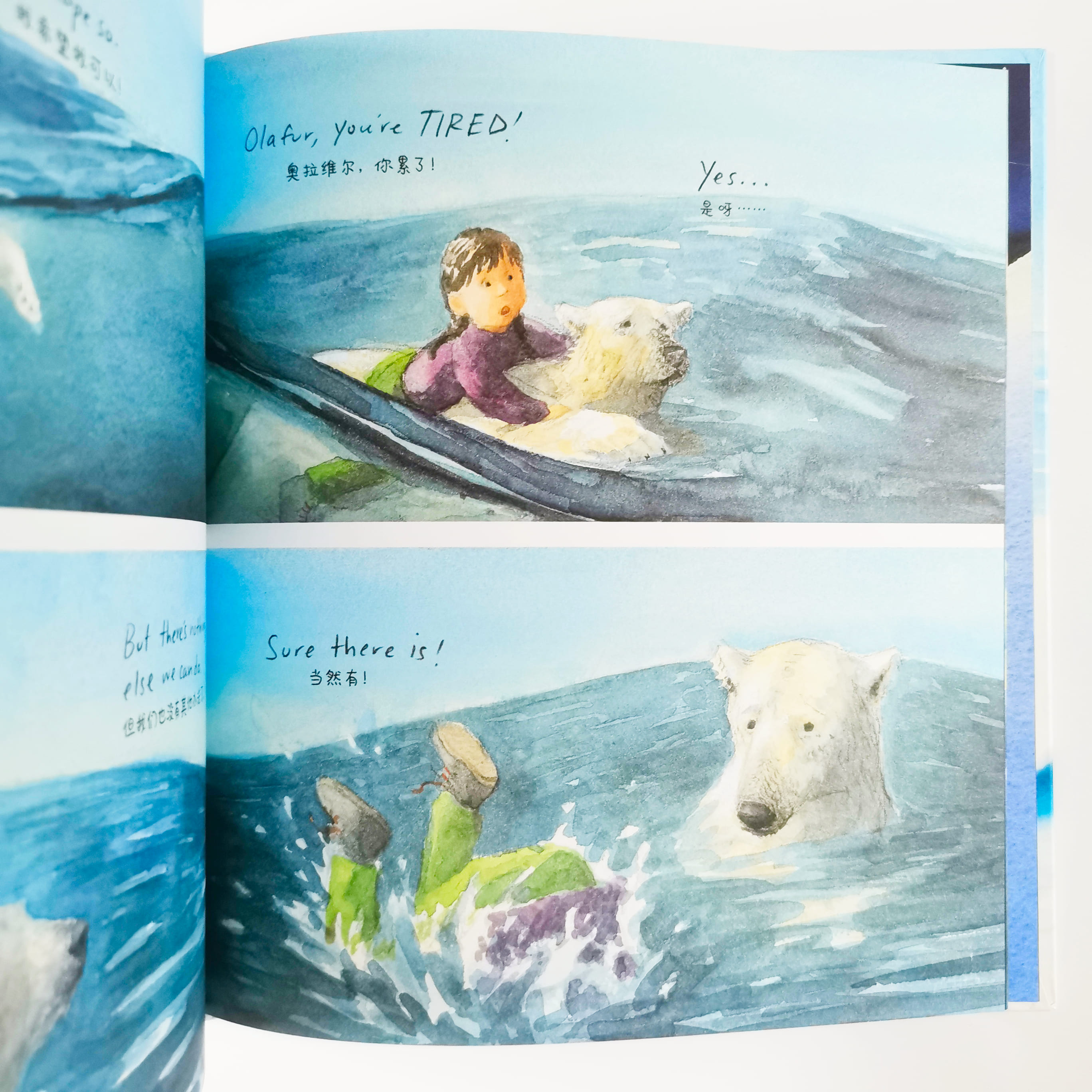 The Bear Report 北极能报告