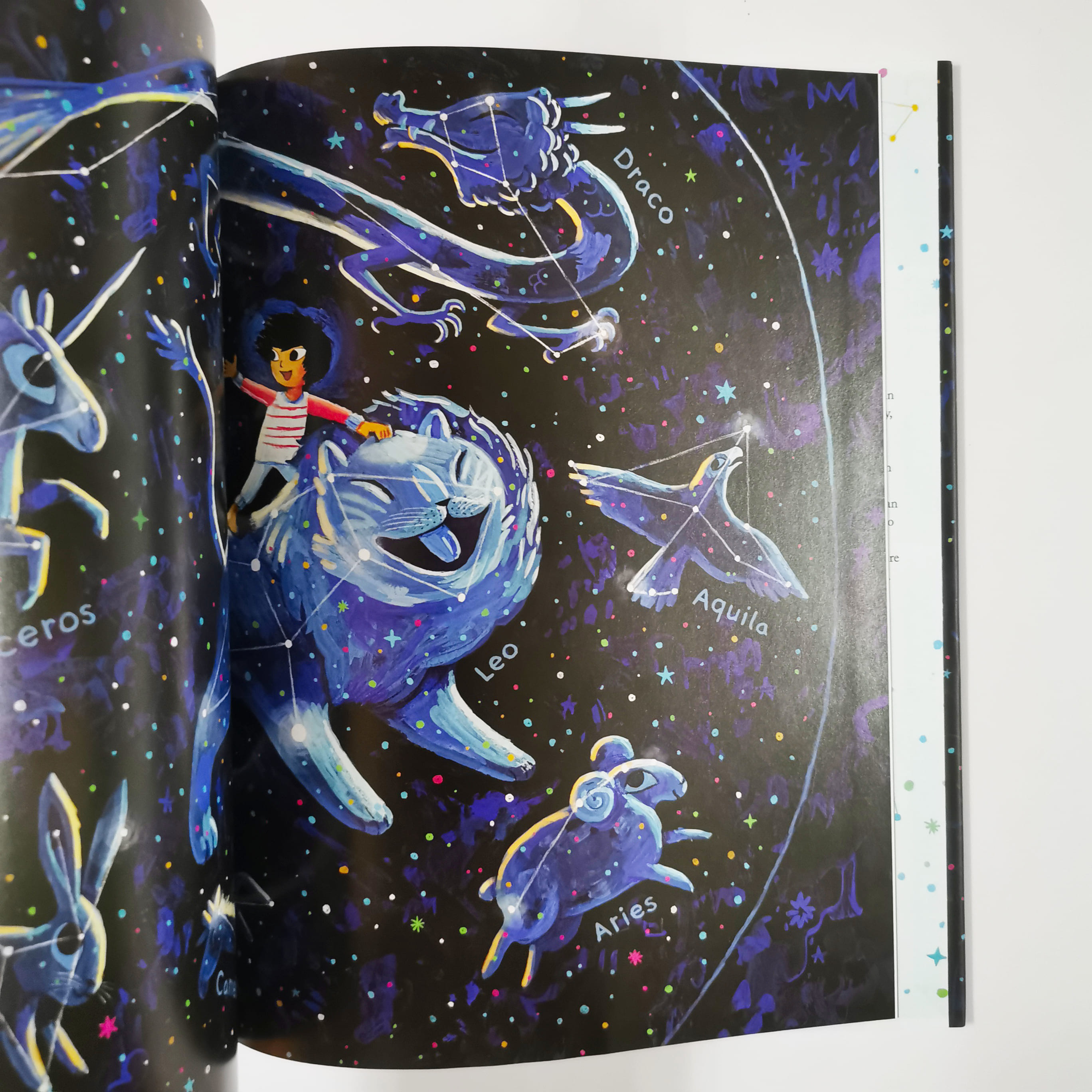 A Home Under the Stars