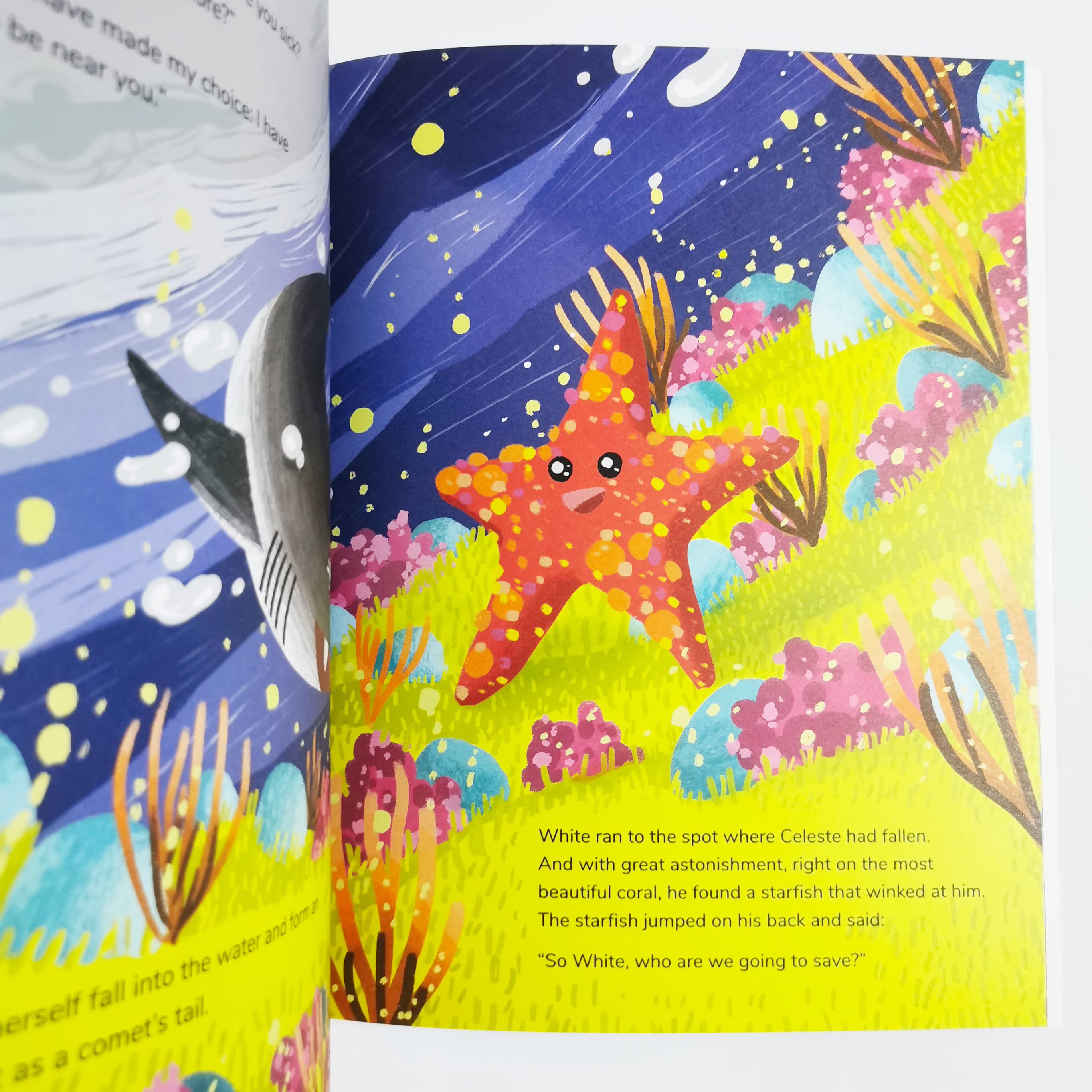 Little White : The Ocean’s Baby Shark