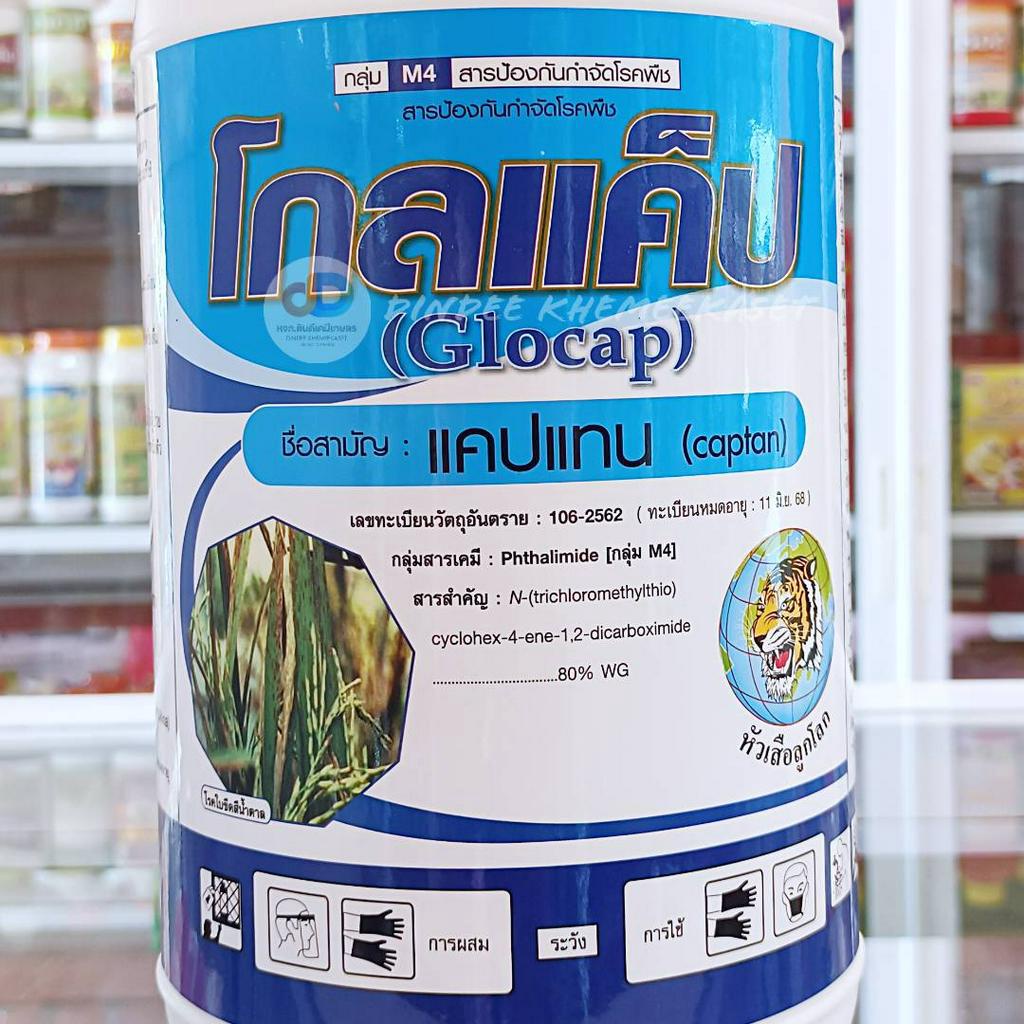 (ยกลัง12กก.)โกลแค็ป ขนาด 1 กิโลกรัม สารป้องกันกำจัดโรคใบจุด ใบขีด แอนแทรคโนส ในพืชต่างๆ