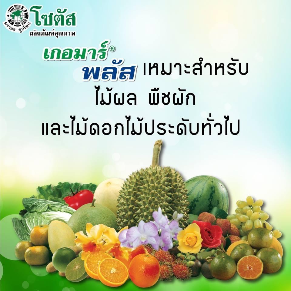 (ยกลังx12ขวด) เกอมาร์พลัส ส่งเสริมการออกดอกติดผล ฟื้นสภาพต้นหลังเก็บเกี่ยว เกอมาร์ พลัส (Goemar Plus) ขนาด1ลิตร