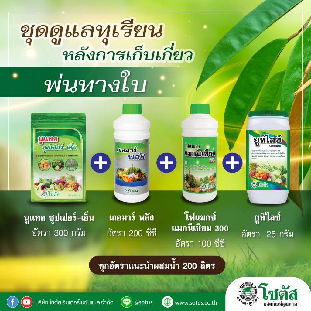 ชุดดูแลทุเรียนหลังการเก็บเกี่ยว นูแทค ซุปเปอร์-เอ็น+เกอมาร์พลัส+โฟแมกซ์ แมกนีเซียม 300+ยูทิไลซ์ (Utilize)