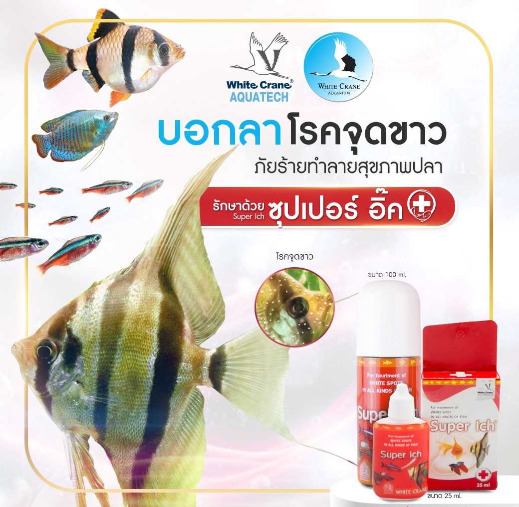 SUPER ICH (รักษาจุดขาว ครีบห่อ เชื้อรา กำจัดปรสิต ซึม ไม่ว่ายน้ำ เบื่ออาหาร)