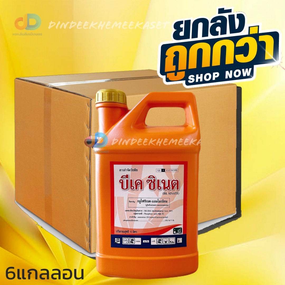 (ยกลัง6แกกลอน)บีเค ซิเนต ขนาด 4 ลิตร สารกลูโฟซิเนต-แอมโมเนียม ยากำจัดวัชพืชประเภทใบกว้าง ใบแคบ หญ้าปากควาย และกก