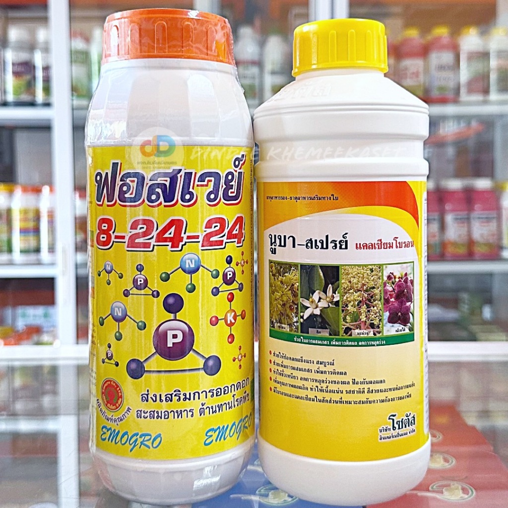 (ชุด2ขวด) ปุ๋ยน้ำฟอสเวย์ 8-24-24 ขนาด1 ลิตร ส่งเสริมการออกดอก+นูบา-สเปรย์ แคลเซียมโบรอน ขนาด 1 ลิตร เพิ่มการผสมเกสร