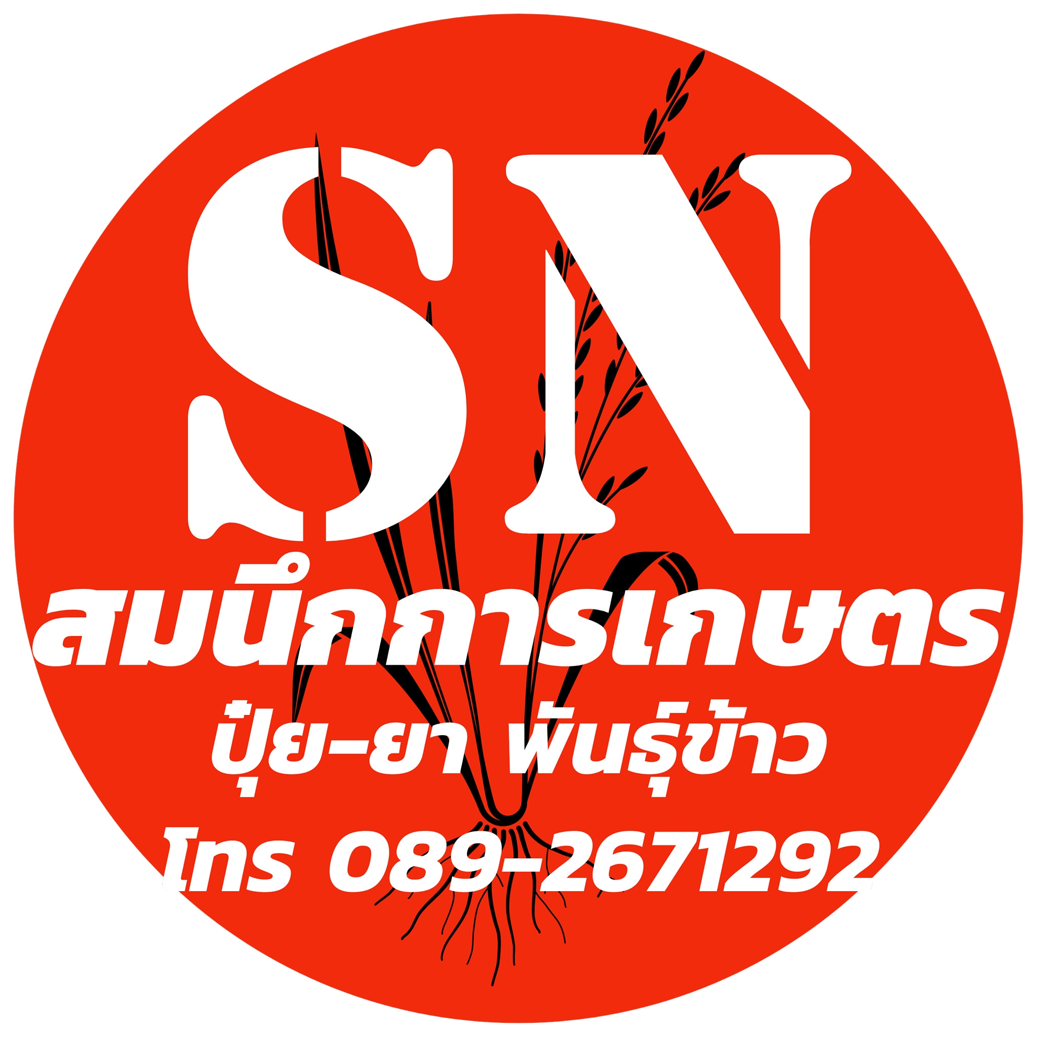 https://www.facebook.com/somnuekkankaset