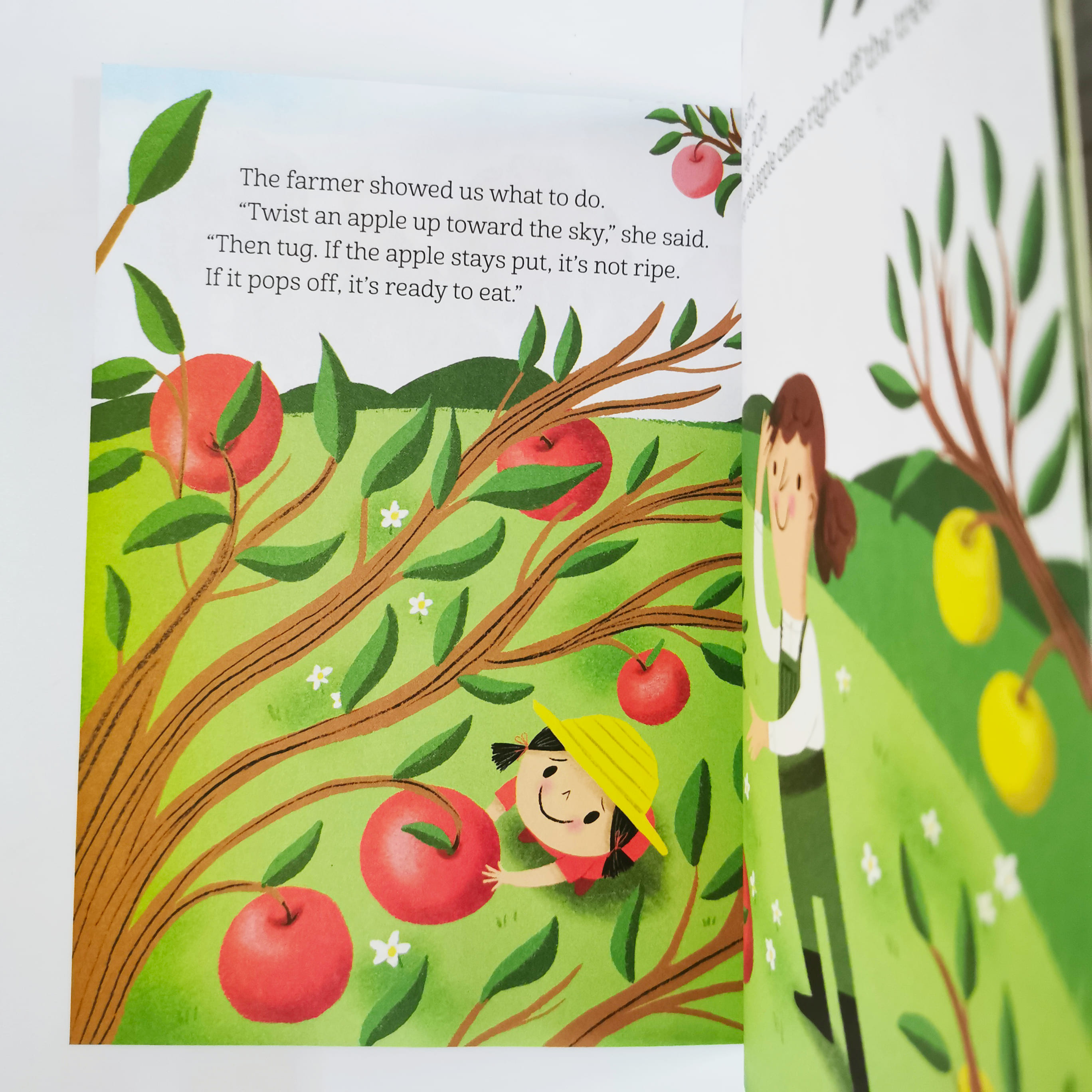 Let's Go Apple Picking! (LGB)