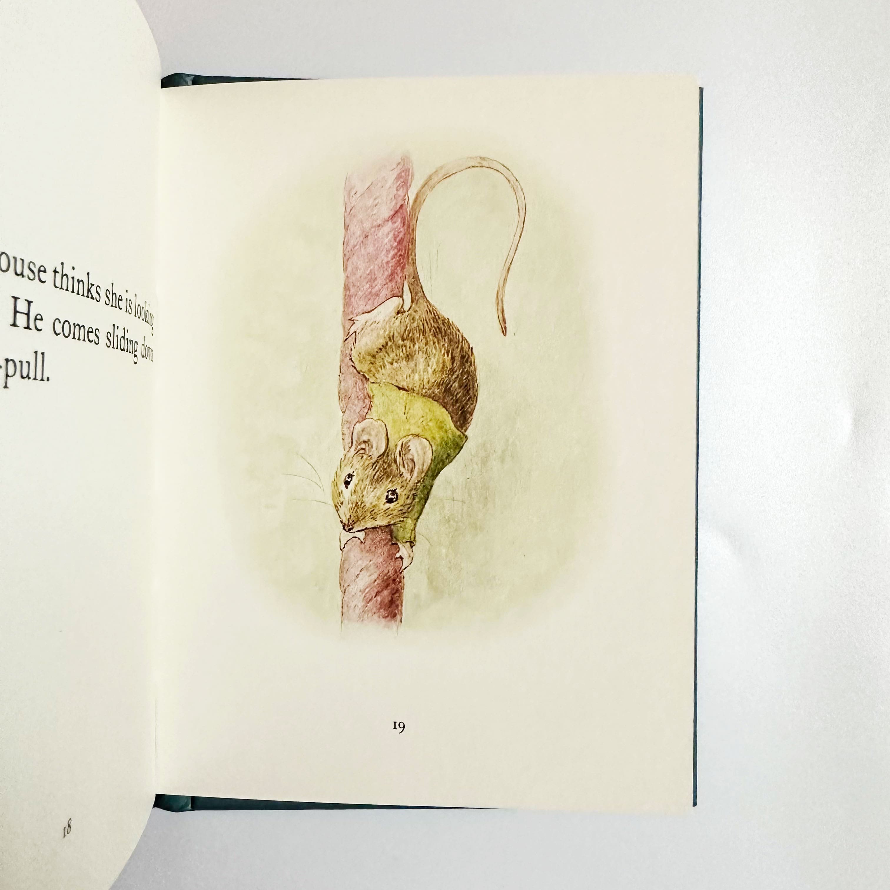 The Story of Miss Moppet