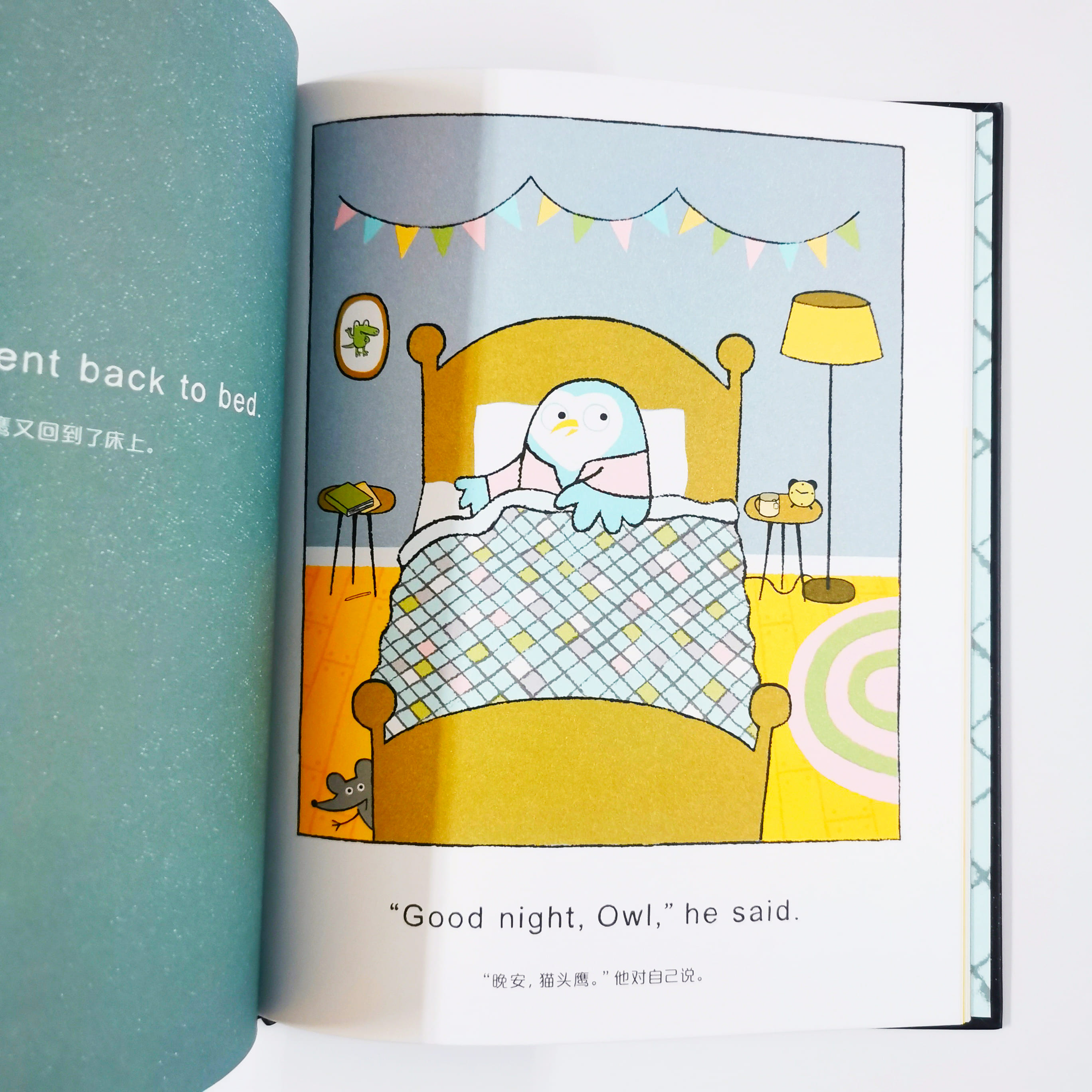 Good Night Owl 晚安, 猫头鹰