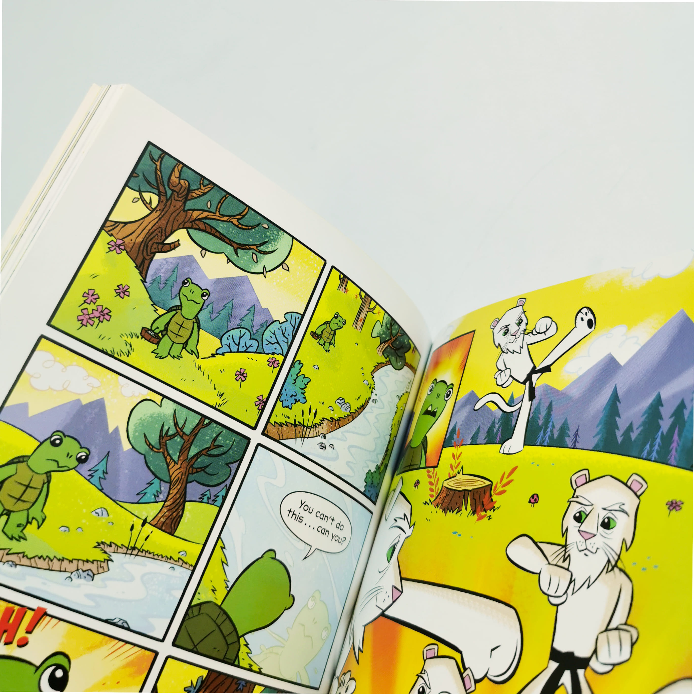 Ara's Rocky Road to White Belt (Team Taekwondo)