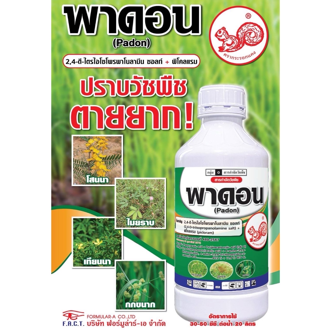 พาดอน 2,4-ดี ไตรไอโซโพรพาโนลามีน ซอลล์ + พิคลอแรม 1 ลิตร ปราบวัชพืช ตายยาก โสนนา ไมยราบ