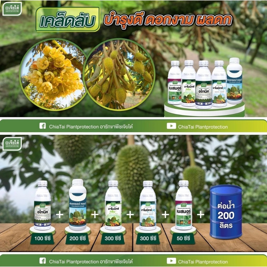(ชุดบำรุงดอก) อโทนิค-ตราเจียไต๋ +ฟอลครอป คอมบี +มาโมมิกซ์ กรีน ขนาด 1 ลิตร+มาโมมิกซ์ บลู +เบสมอร์ เจียไต๋