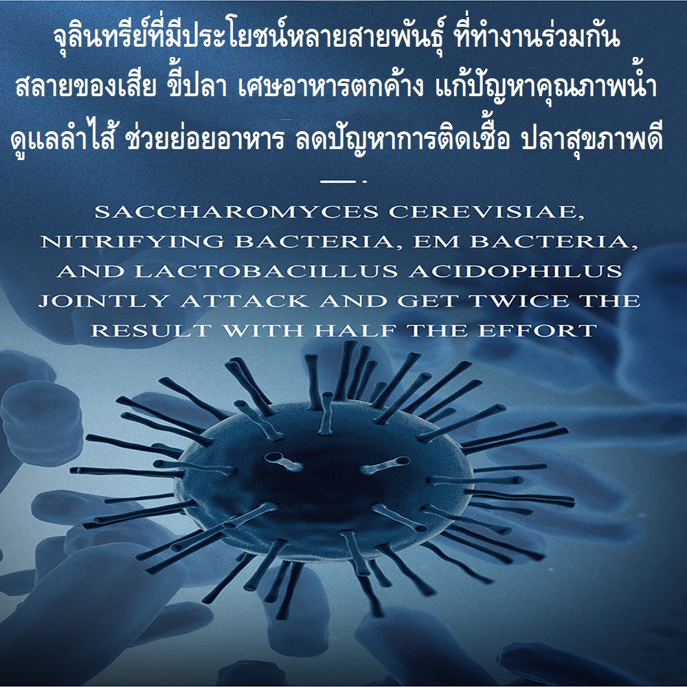 YEE LIQUID STATE NITRIFIER 650ml.(จุลินทรีย์สดแบบมีชีวิต สลายของเสีย ขี้ปลา ลดปัญหาคุณภาพน้ำ ปกป้องสุขภาพปลา เห็นผลไว)