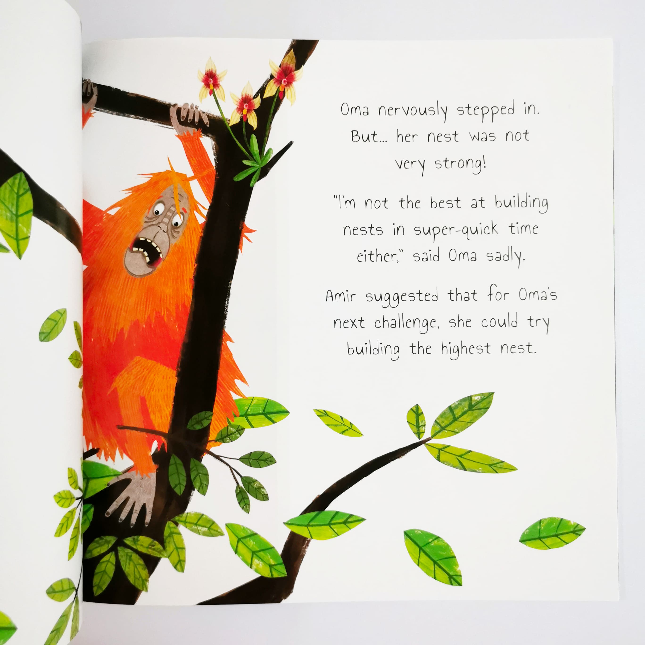 The Plucky Orangutan (Rainforest Tales)