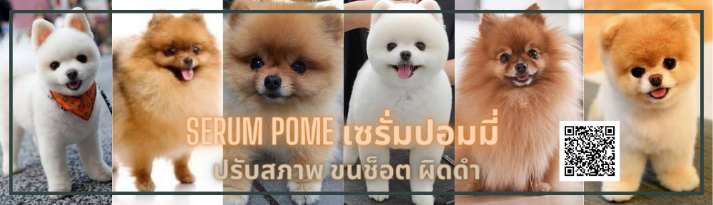 pome44 shop