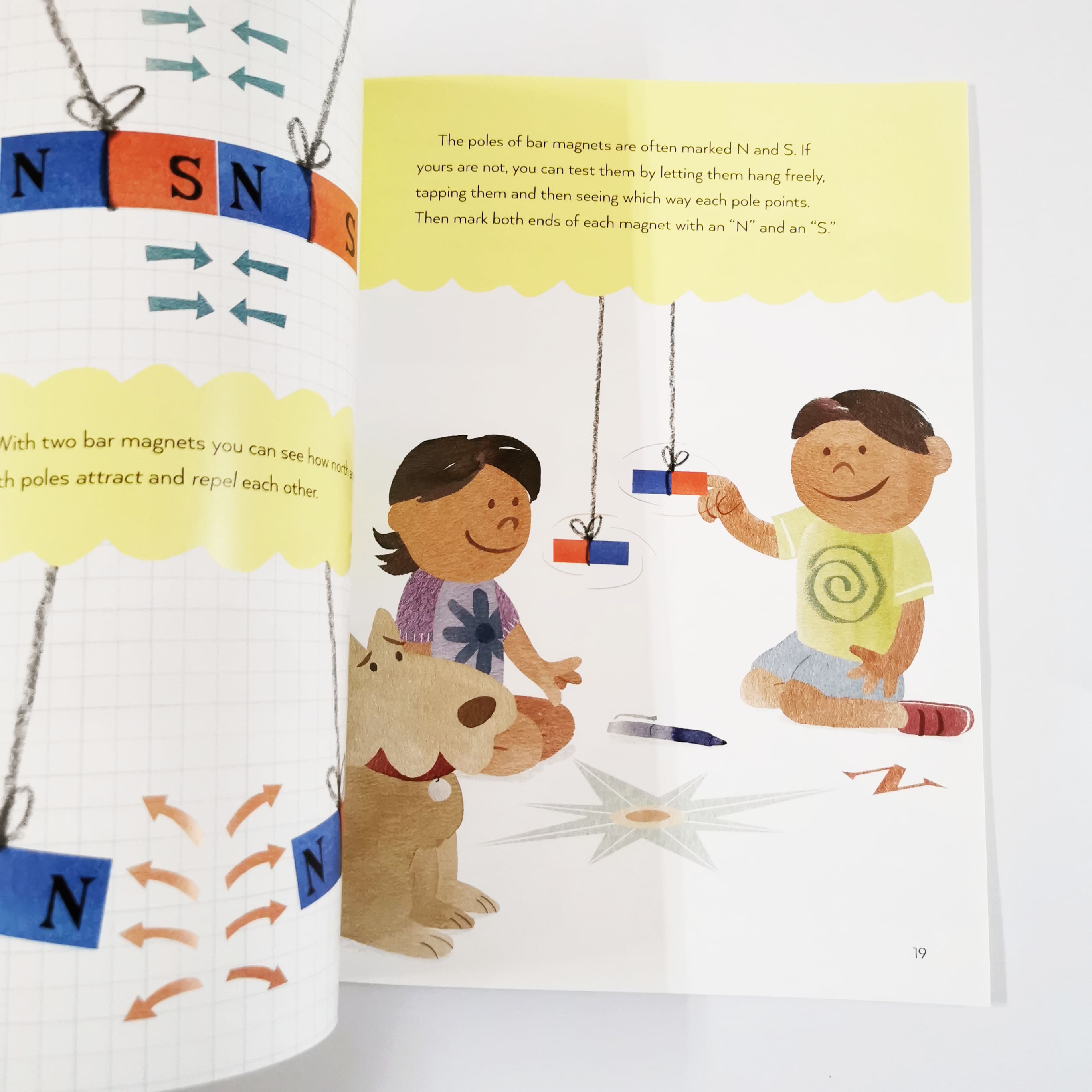 Magnets Push, Magnets Pull