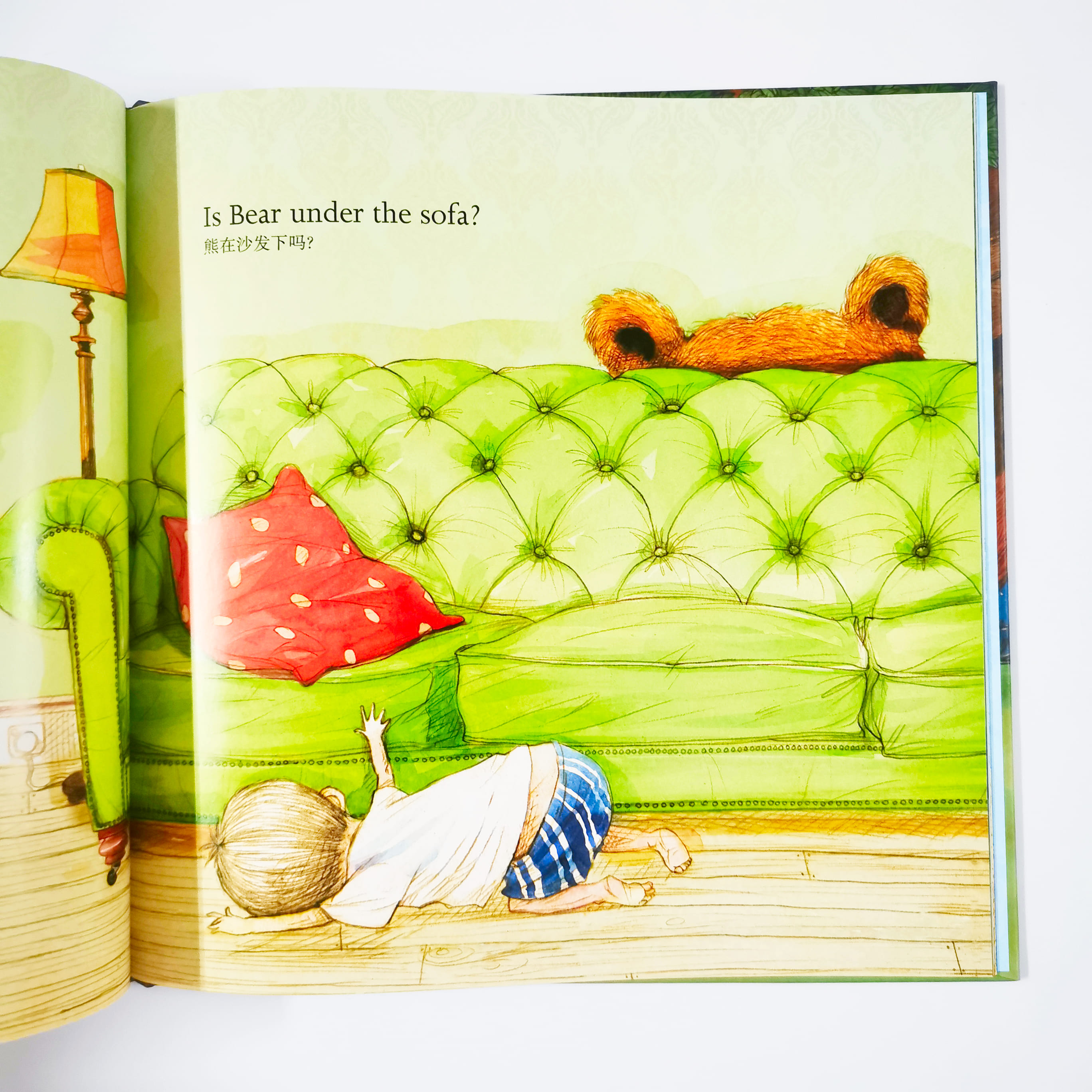 Where is Bear 熊在哪儿