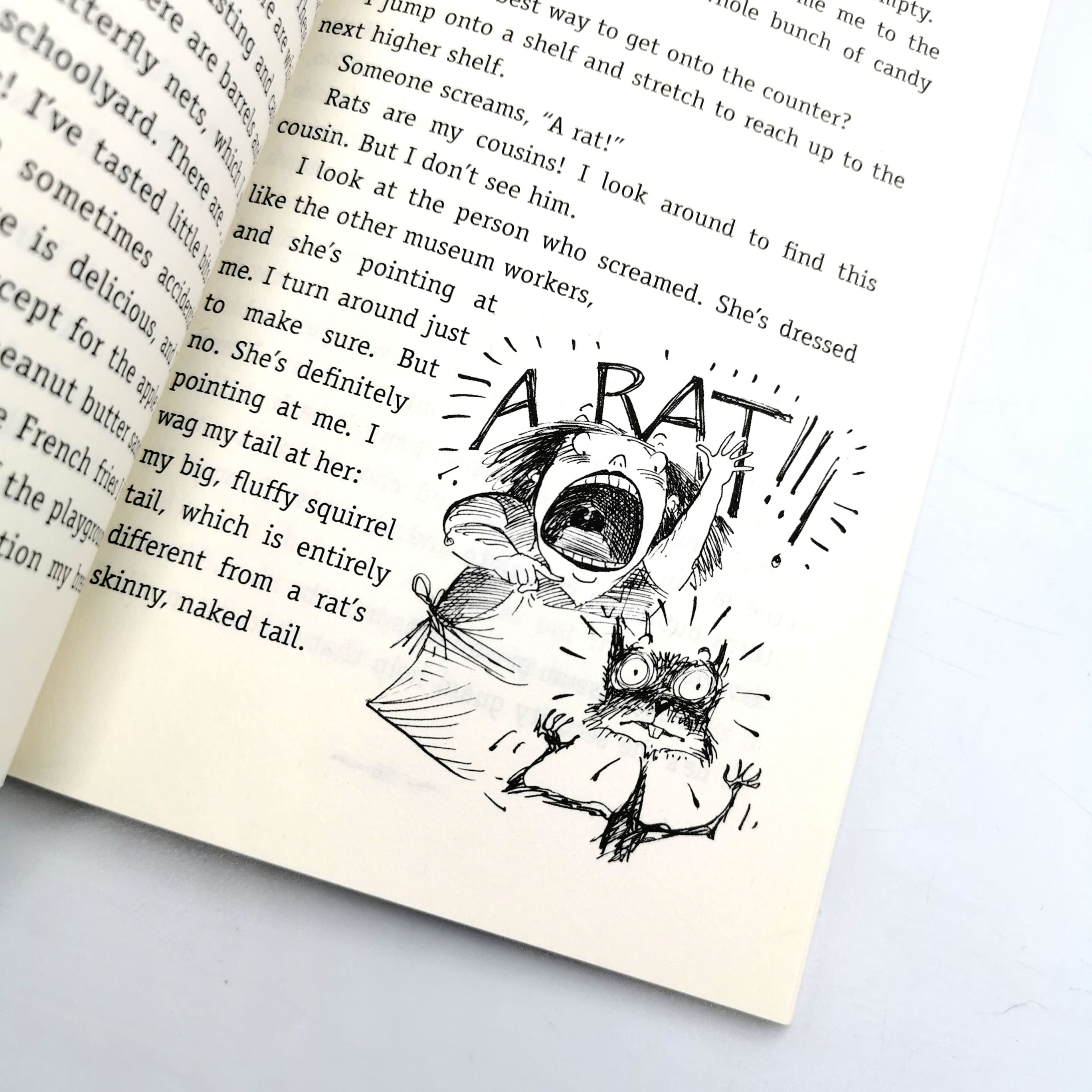 Squirrel in the museum