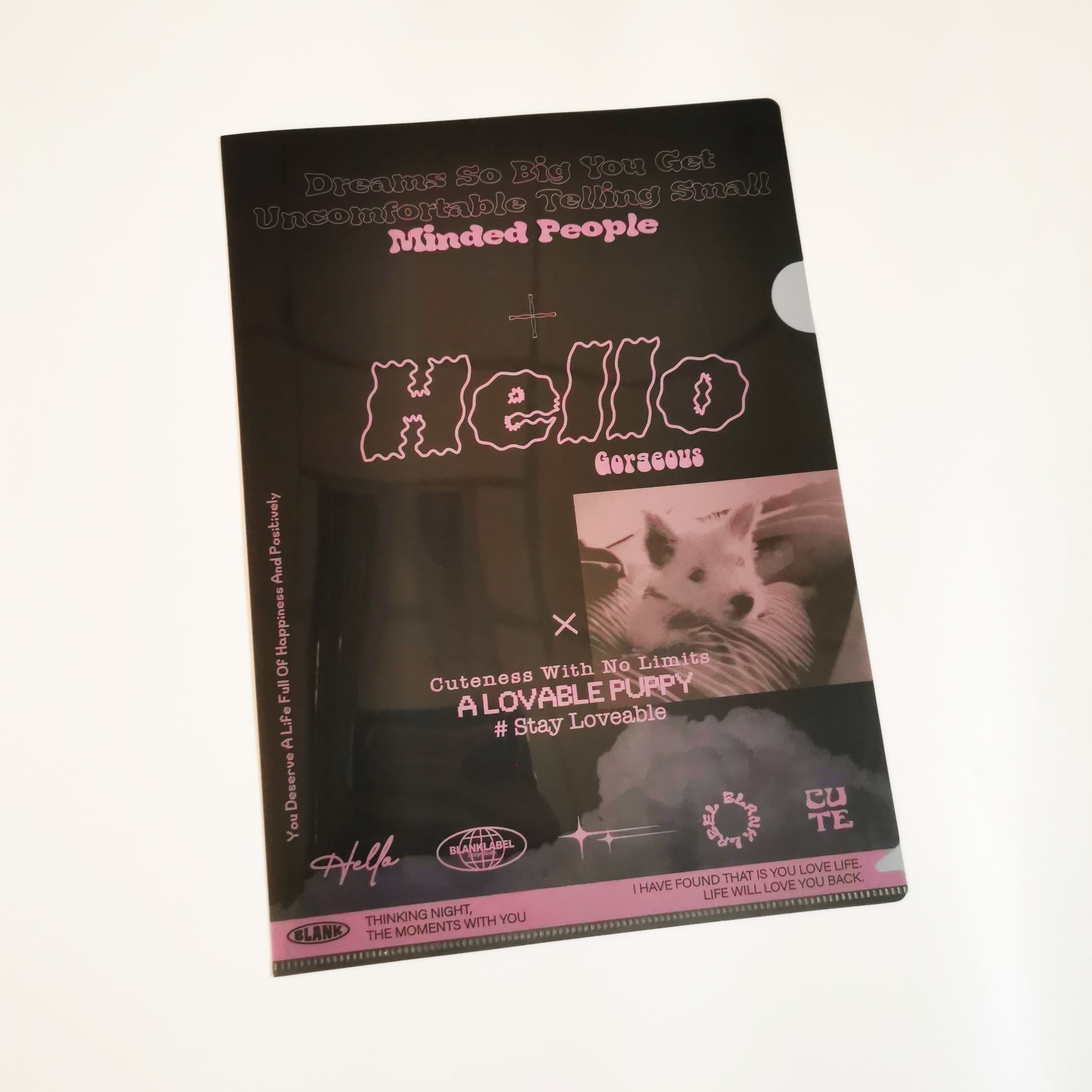 Hello Gorgeous (A4 Folder)