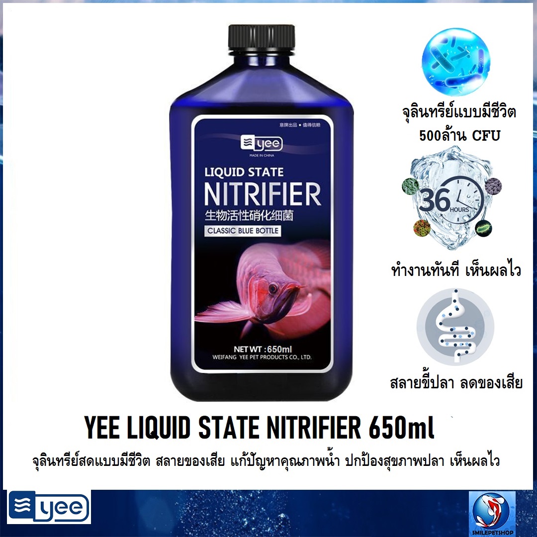 YEE LIQUID STATE NITRIFIER 650ml.(จุลินทรีย์สดแบบมีชีวิต สลายของเสีย ขี้ปลา ลดปัญหาคุณภาพน้ำ ปกป้องสุขภาพปลา เห็นผลไว)