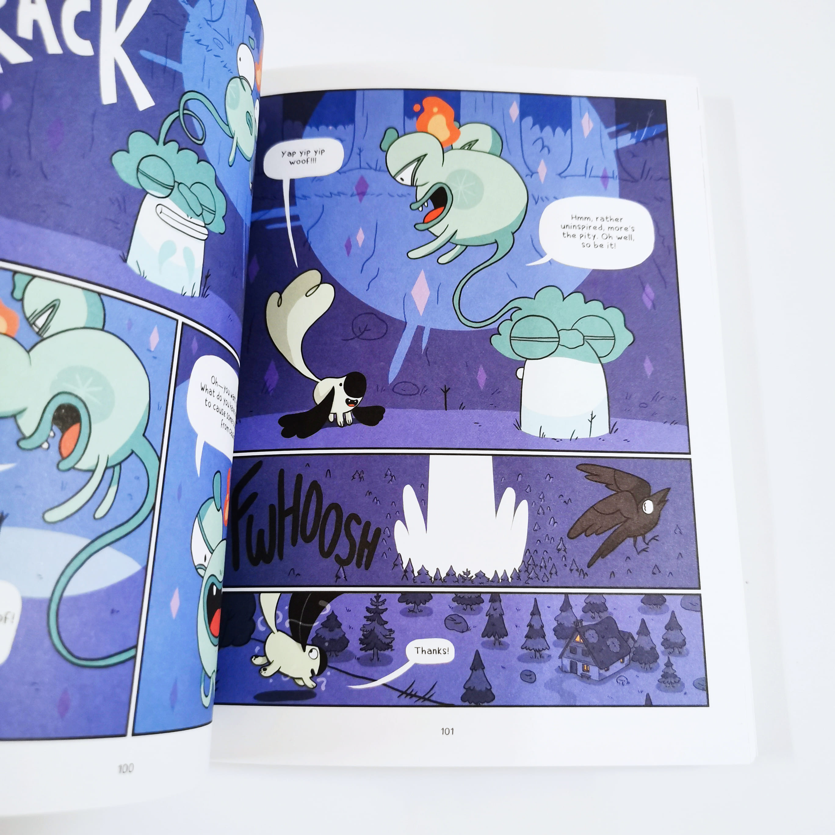 Aster and the Accidental Magic