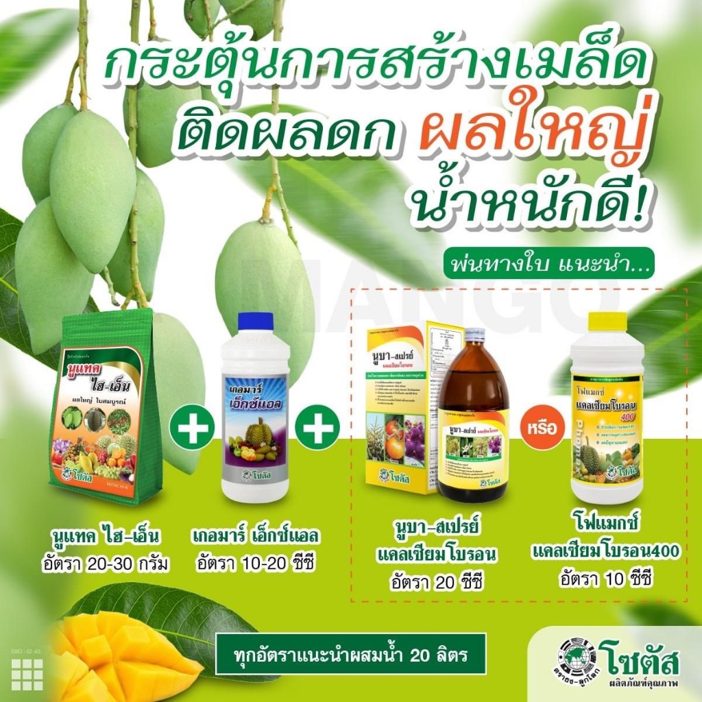ชุดกระตุ้นการสร้างเมล็ด ติดผลดก ผลใหญ่ นูแทค ไฮ-เอ็น+เกอมาร์ เอ็กซ์แอล+โฟแมกซ์ แคลเซียมโบรอน 400