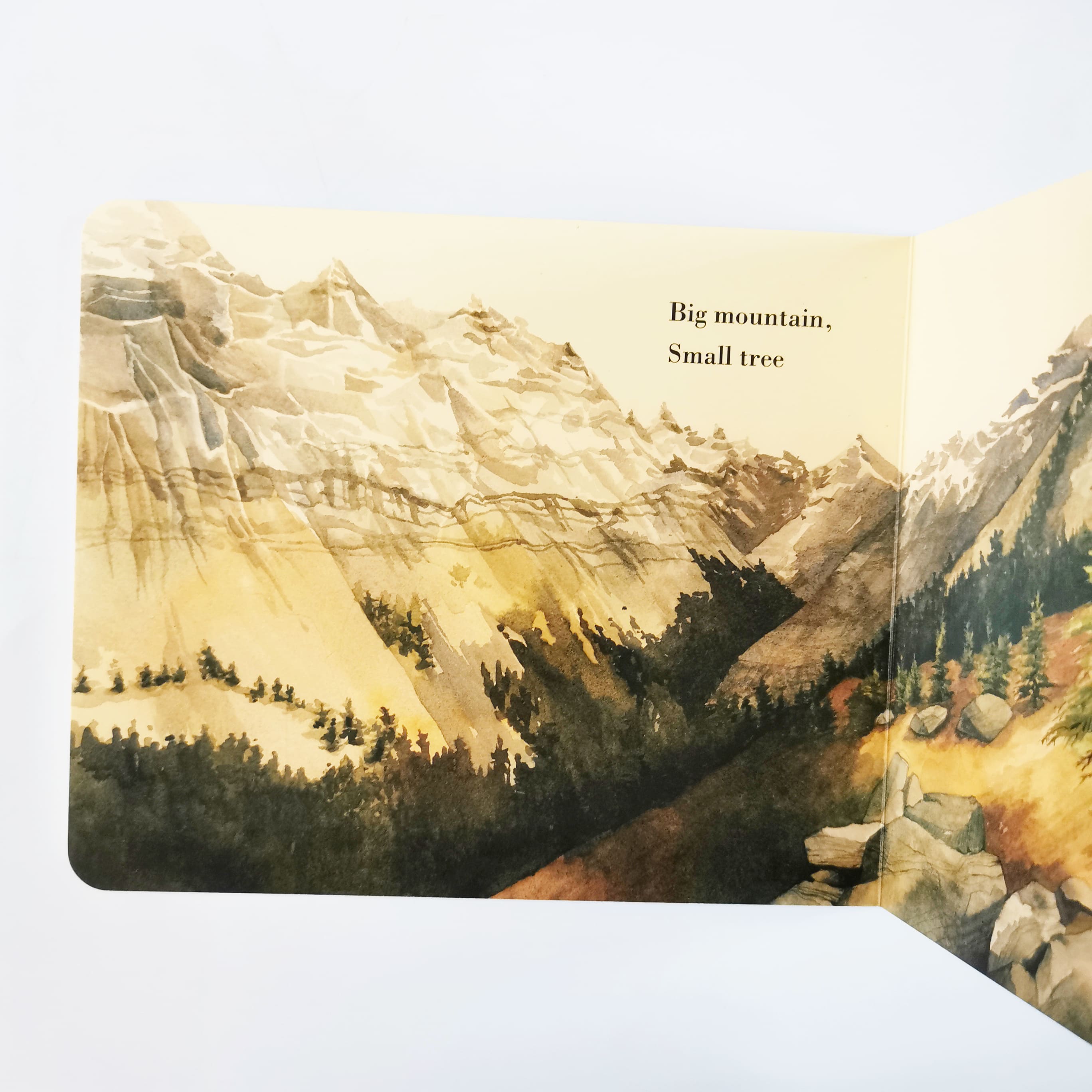 Big and Small, Room for All