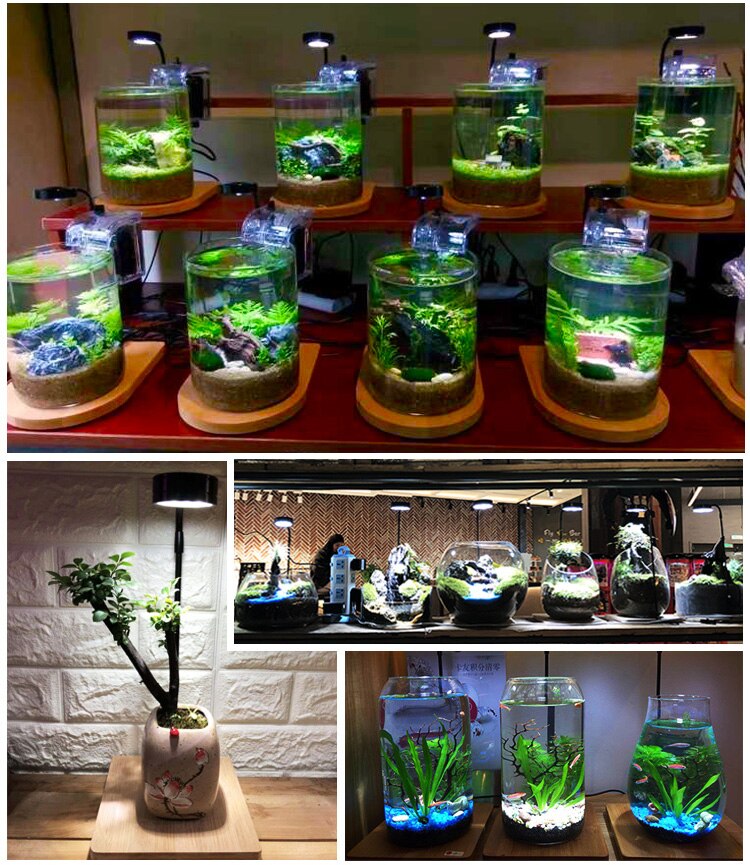 โคมไฟ LED พร้อมฐานไม้(วางตู้ปลา,ตู้ไม้น้ำ,ขวดโหล,สวนถาด,แคคตัส,มาริโมะ,wabi-kusa,Terrarium โคมอลูมิเนียม ชิปLEDคุณภาพสูง