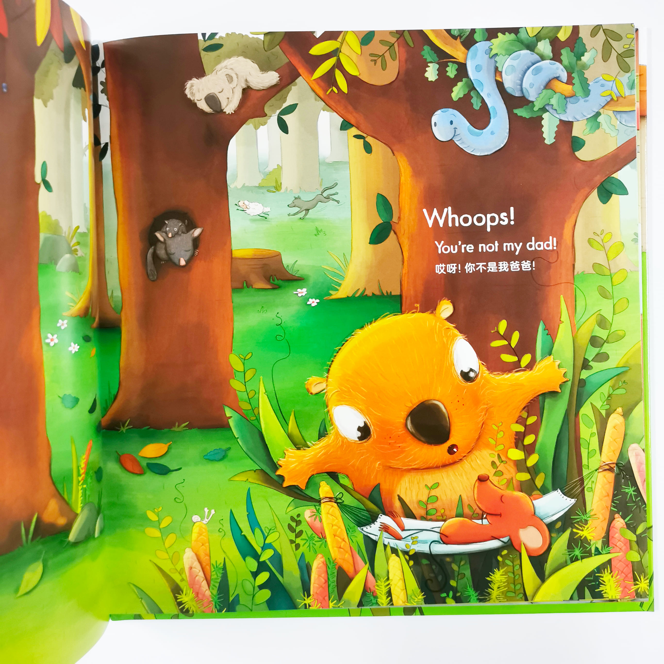 Where's Dad Hiding? 爸爸躲哪儿去了?