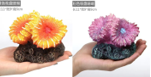ปะการัง XP-SH สีม่วงชมพู,สีเหลืองส้ม