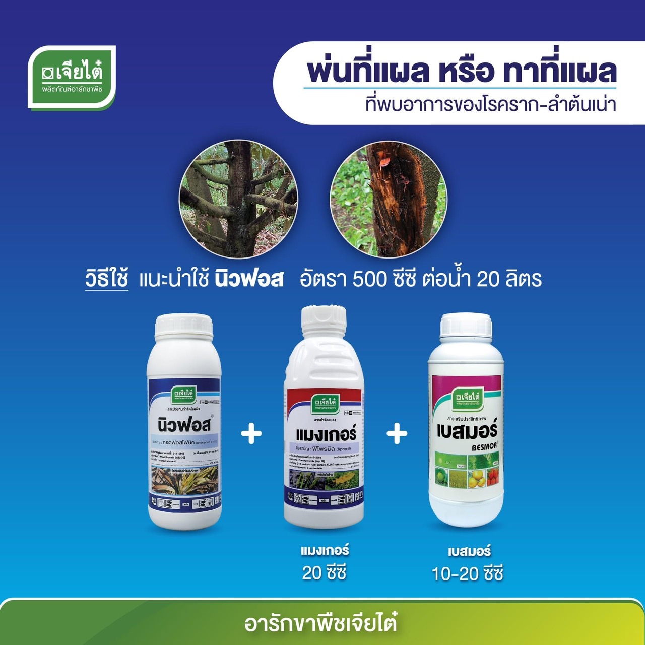 ชุด รักษา บาดแผลพืช นิวฟอส ขนาด 1 ลิตร+ แมงเกอร์ ขนาด 1 ลิตร+ เบสมอร์ ขนาด 1 ลิตร #ใช้ในการรักษาบาดแผลของพืช
