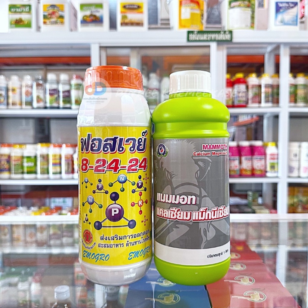 (ชุด2ขวด) ปุ๋ยน้ำฟอสเวย์ 8-24-24 ขนาด1 ลิตร ส่งเสริมการออกดอก+แมมมอท แคลเซียม แม็กนีเซียม ขนาด 1 ลิตร