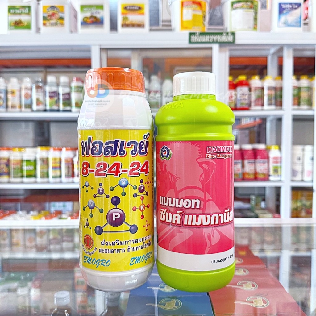 (ชุด2ขวด) ปุ๋ยน้ำฟอสเวย์ 8-24-24 ขนาด1 ลิตร ส่งเสริมการออกดอก+แมมมอท ซิงค์ แมงกานีส ธาตุอาหารรอง-เสริมพืช ขนาด 1 ลิตร