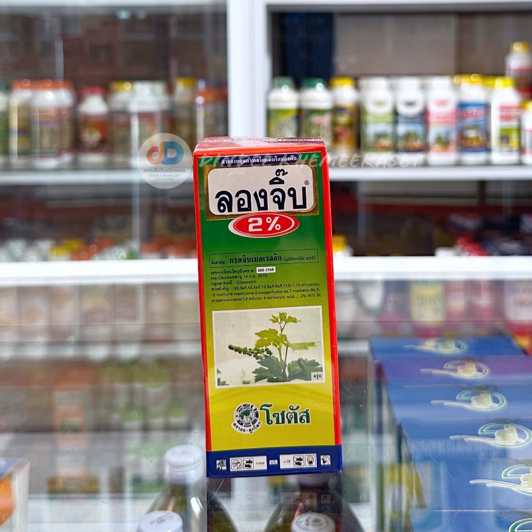 ลองจิ๊บ 2% (Long Gibb 2%) "ลองจิ๊บ 2%" แก้ปัญหายอดสั้น ขั้วผลสั้น ข้อสั้น เนื่องจากใช้สารบังคับการออกดอก (100มล)