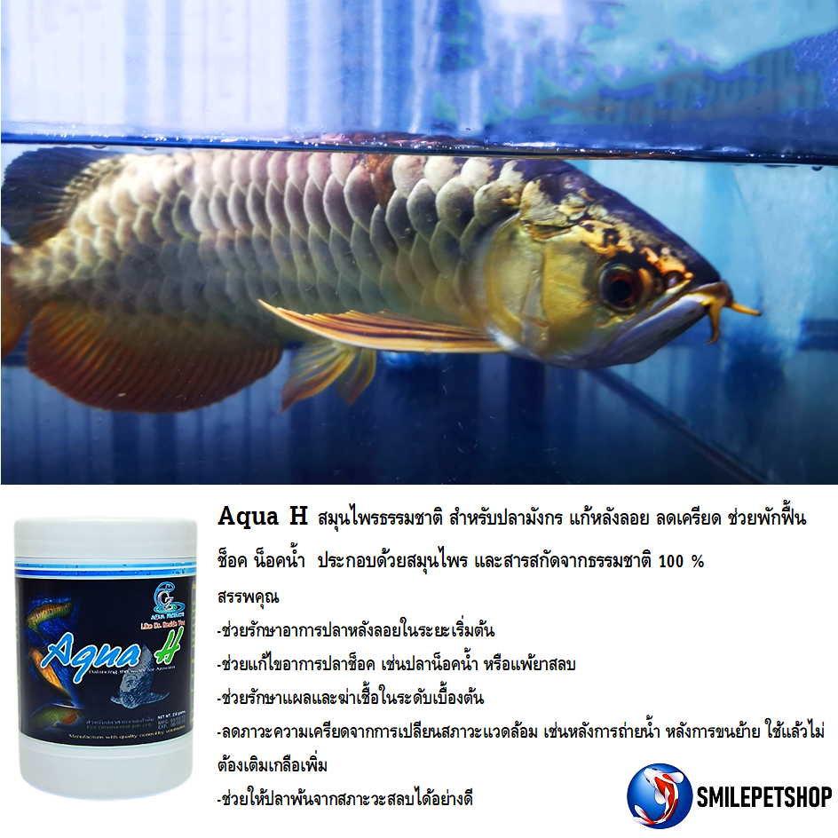 Aqua H 250 g. (สมุนไพรธรรมชาติ สำหรับปลามังกร แก้หลังลอย ลดเครียด ช่วยพักฟื้น ช็อค น็อคน้ำ)