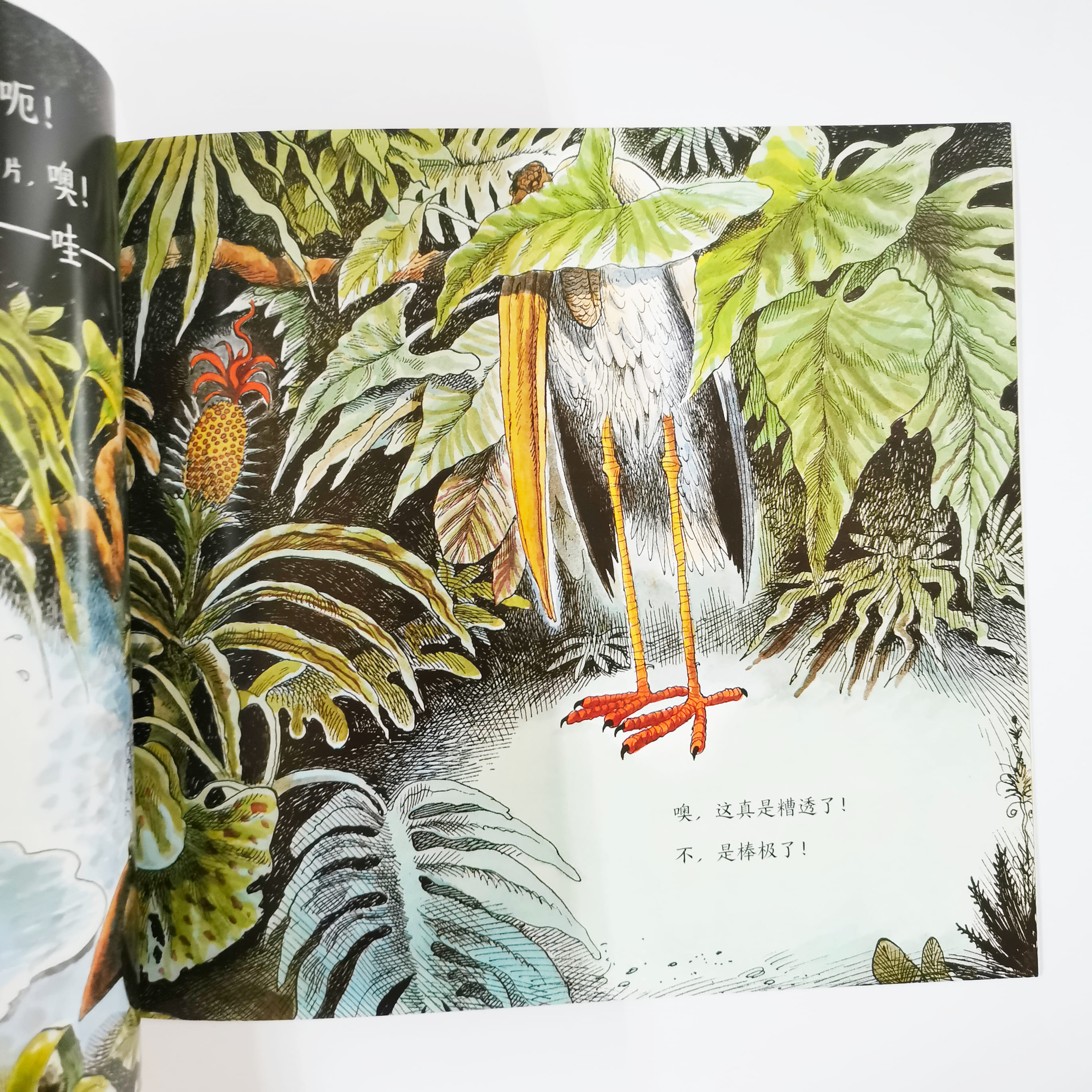 棒极了! 糟透了! That's Good! That's Bad!