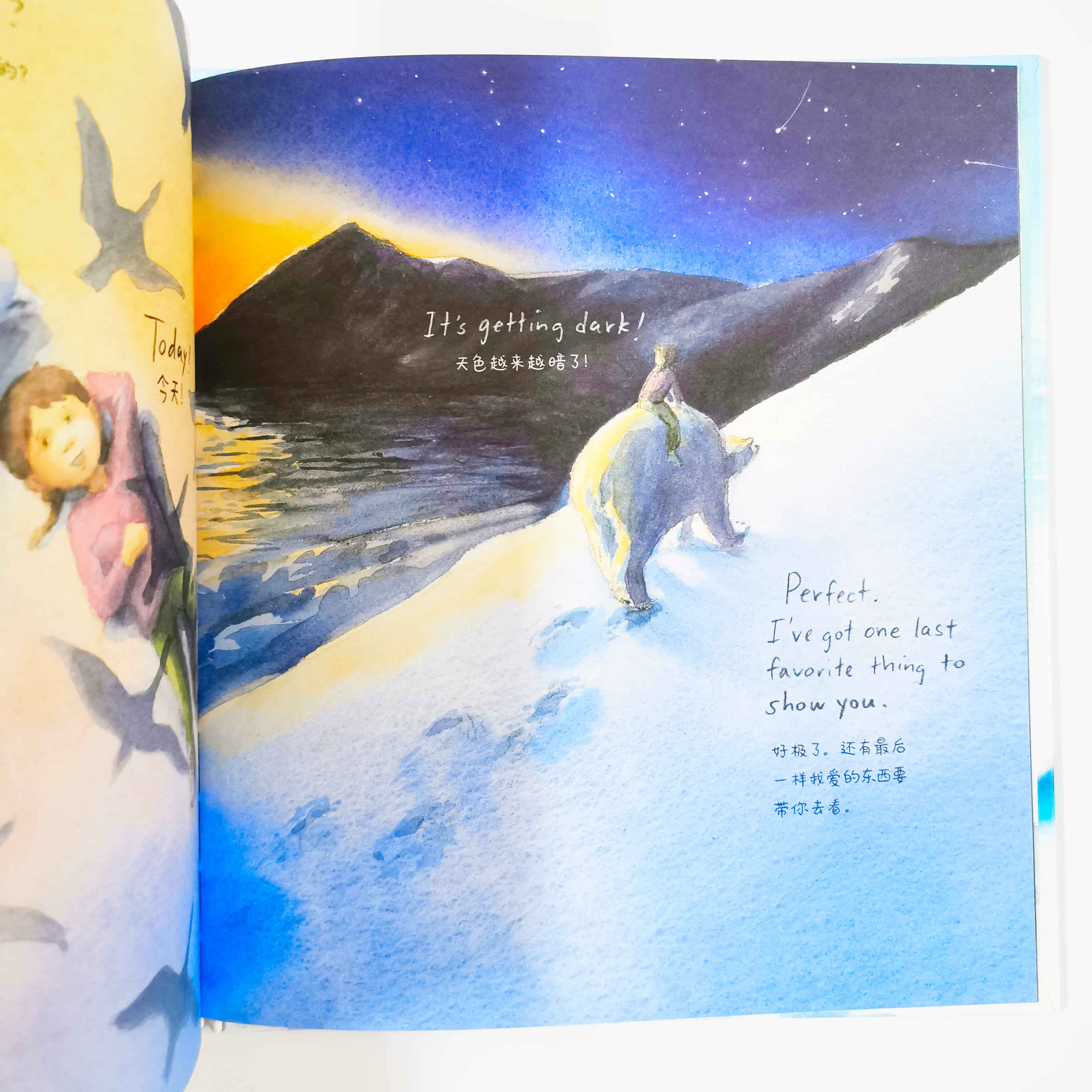 The Bear Report 北极能报告