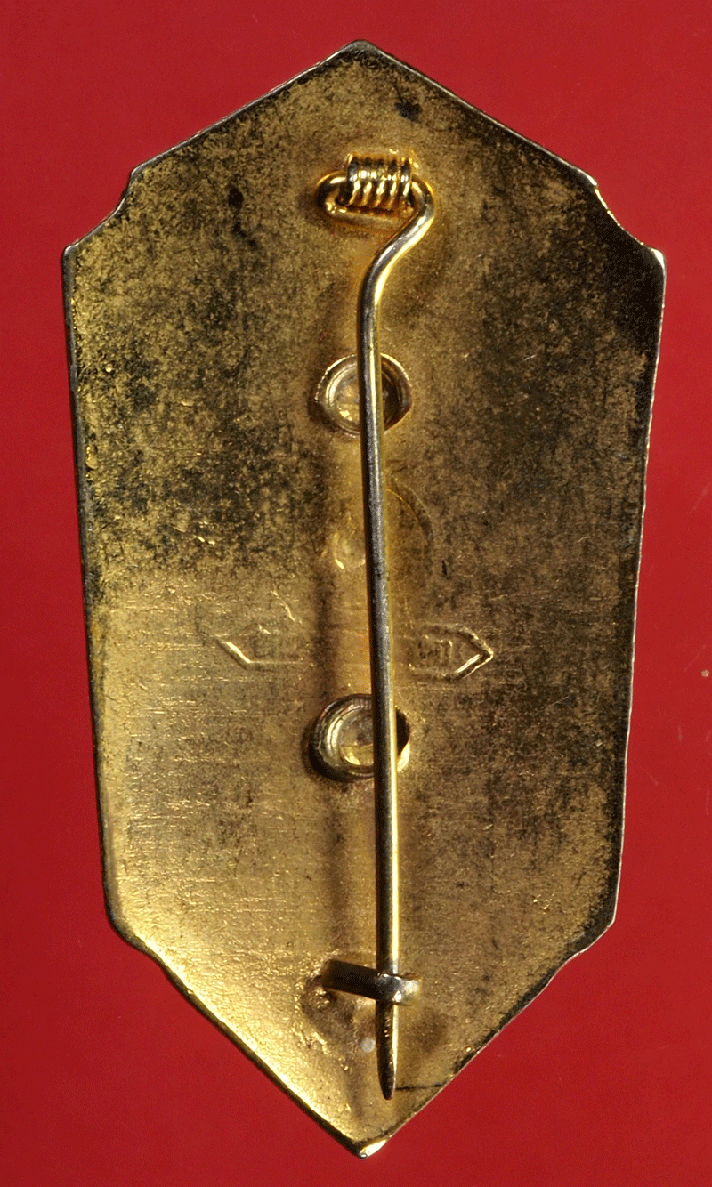 ฺB2862 เข็มกลัดลูกเสือ ติดกระเป๋าเสื้อลงยากระหลั่ยทอง 16