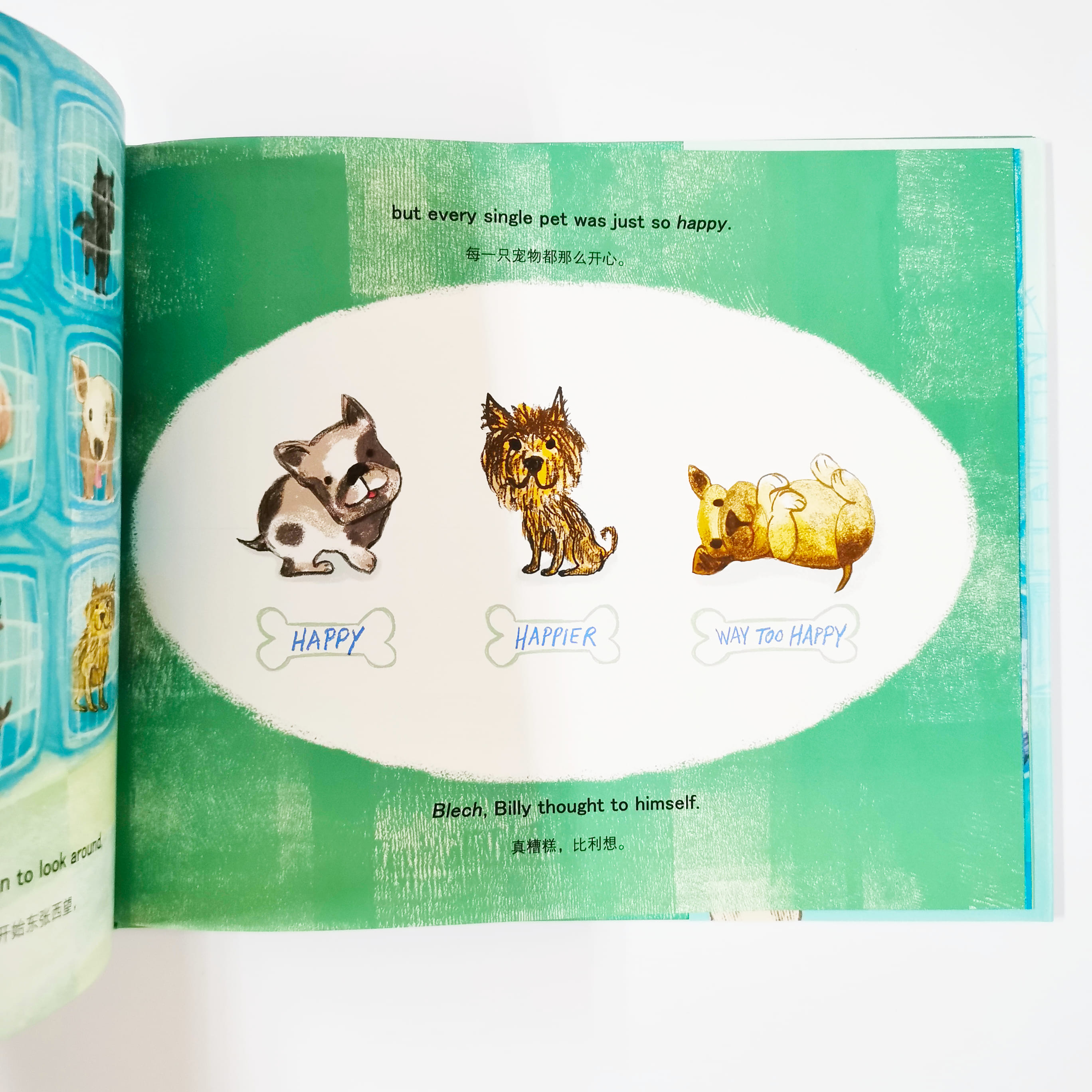 The Grumpy Pets 臭脸宠物