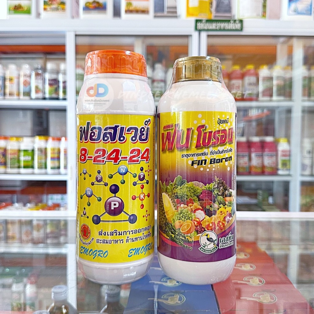 (ชุด2ขวด) ปุ๋ยน้ำฟอสเวย์ 8-24-24 ขนาด1 ลิตร+ฟิน โบรอน (Fin Boron) ขนาด 1 ลิตร ธาตุอาหารเสริมสำหรับพืช