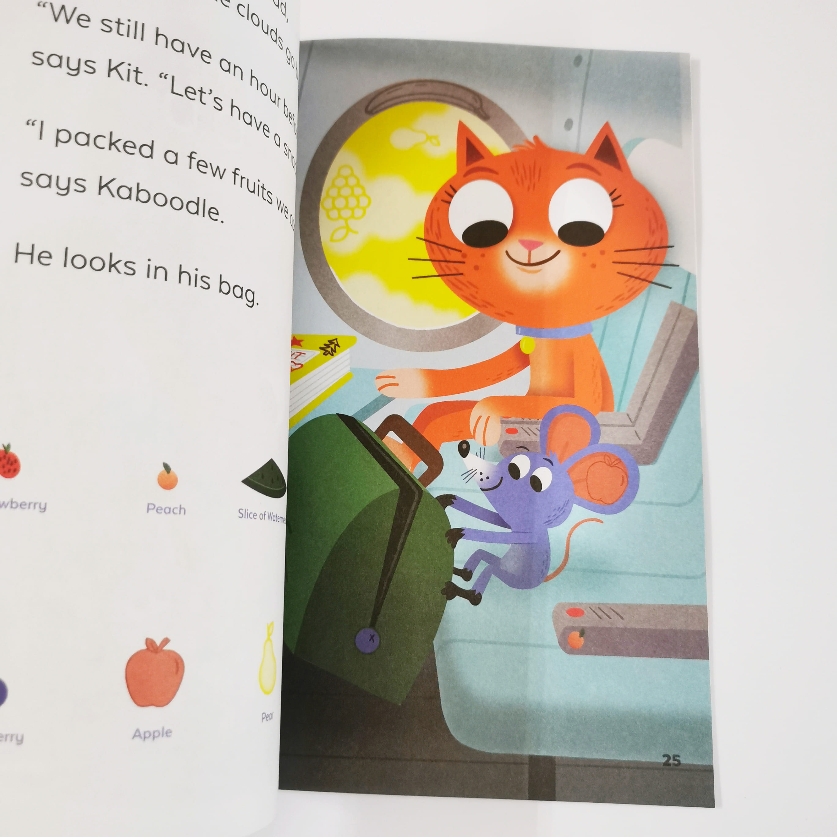 Kit and Kaboodle Fly the Skies