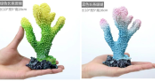 ปะการัง CT-SH สีฟ้า,สีเขียว