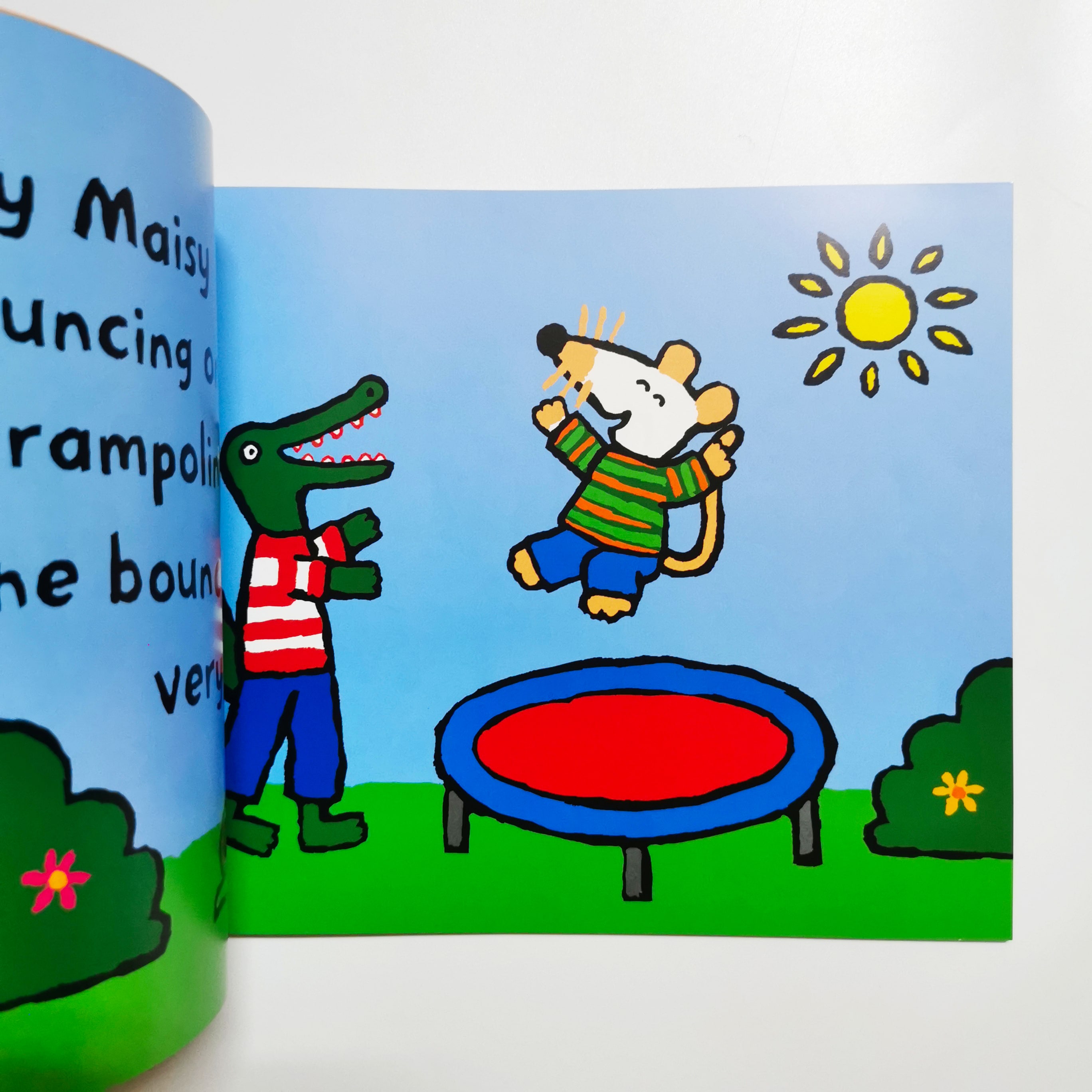 Maisy Goes to Hospital