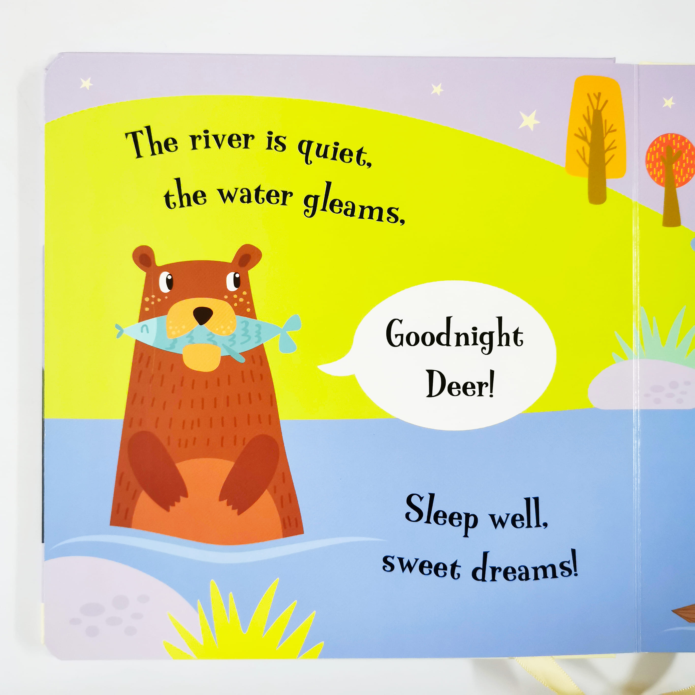 Goodnight Bear (Magic Torch Books)
